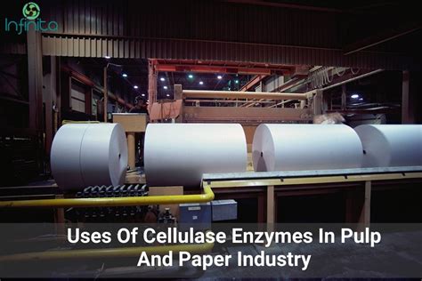 Application Of Enzymes In Pulp And Paper Industry