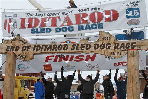 peta calls    alaskas iditarod race  death   dogs