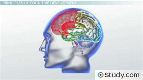 Child And Adolescent Development Developmental Milestones And Nature Vs