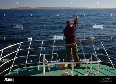 Man Pointing Out To Sea On Bow Of Large Boat Stock Photo Alamy