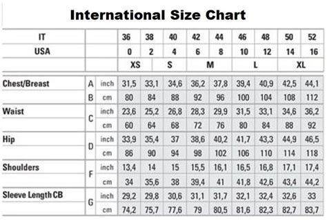 Size L Women S Retro Plus High Cut Vintage Bikini Etsy