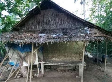 112 Wallpaper Rumah Gubuk For FREE - MyWeb