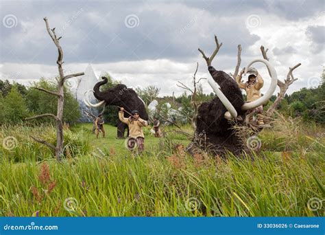 Cavemen Hunt Editorial Photo Image Of Extinction Evolve 33036026