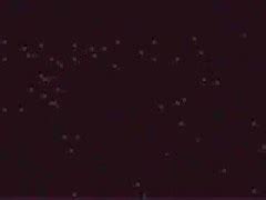 Anal For Elegant Rumika Powers PornZog Free Porn Clips