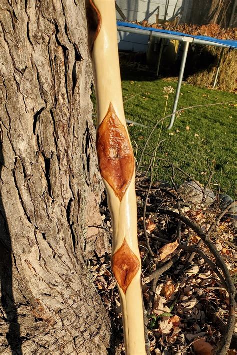 Diamond Willow Walking Stick Hiking Stick Walking Stick Camping