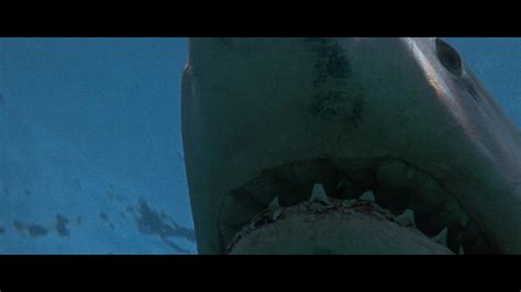 Jaws 3 D 1983