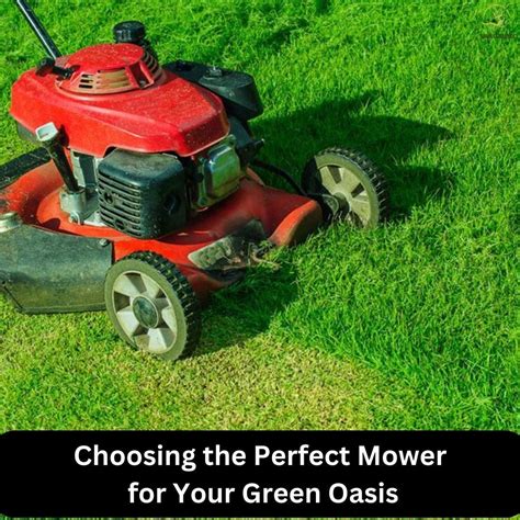 Choosing The Perfect Mower For Your Green Oasis James M Chew Medium