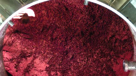 The Science Of Carbonic Maceration In Wine Terroirs Du Monde