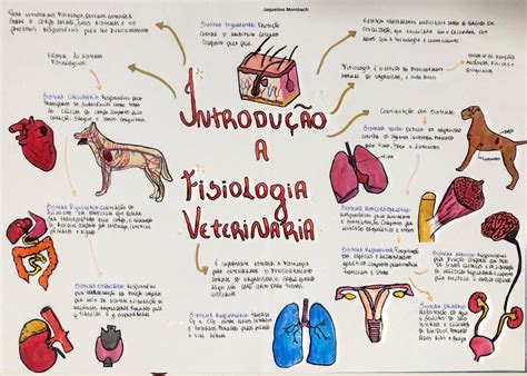 O Que Estuda Na Medicina Veterinaria - 9