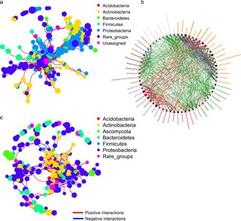 Visualization of microbial community co-occurrence network properties ...