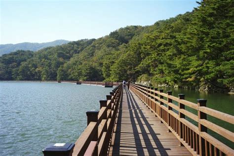 주말아이와가볼만한곳 포천 산정호수 허브아일랜드 네이트뷰