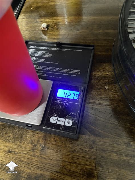 Cubensis Z strain magic mushrooms fruiting #2