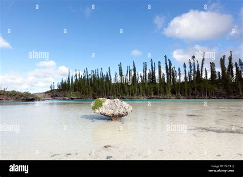 Piscine Naturelle Doro Baie Doro Natural Pool Oro Bay Isle Of