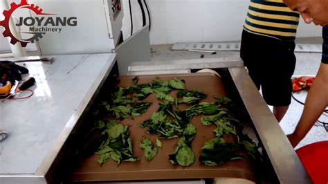 Tea Leaves Microwave Fixing And Drying Machine YouTube