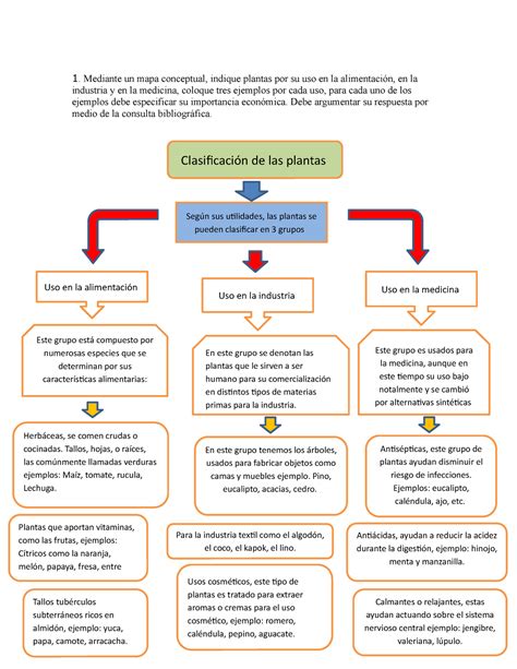 Tarea Botanica Nanda Mediante Un Mapa Conceptual Indique