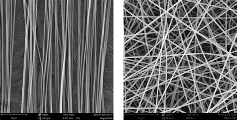 Controlling The Orientation Of Electrospun Nanofibers For Tissue