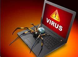 Computer Virus Removal in Moradabad | ID: 9372606730