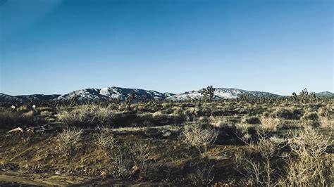 8 best r/palmdale images on Pholder | Check your bank account if you