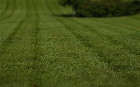 The 10 Best Lawn Care Services In Jacksonville Fl From 23