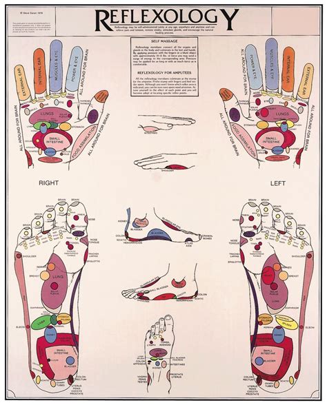 Reflexology Points Reflexology Foot Chart Reflexology Massage Foot