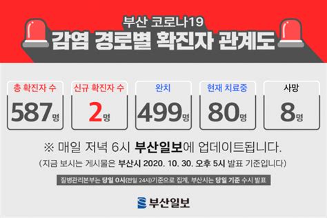 30일 부산 코로나19 확진자 관계도 천안 결혼식서 확진자 접촉 1명 등 2명 추가 부산일보