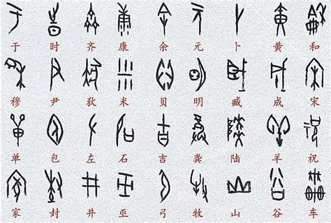 甲骨文化，淺說甲骨與甲骨文 每日頭條