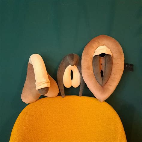 Puppets For Sex Education Plushy Vulva With Detachable Clitoris Penis Pillow Sex Ed Gadget