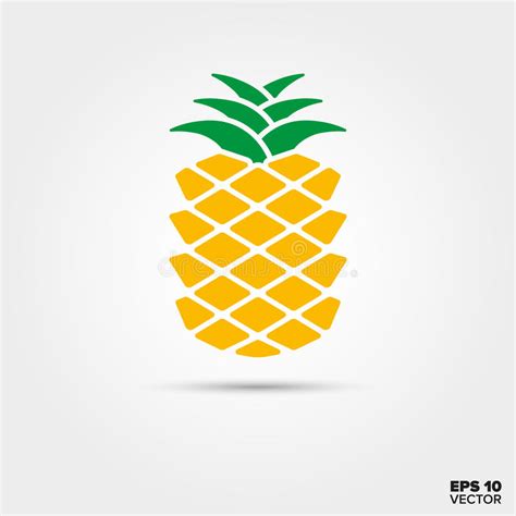 Pineapple Fruit And Pineapple Slice Stock Vector Illustration Of