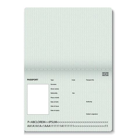 passport blank pages. 11433774 Vector Art at Vecteezy