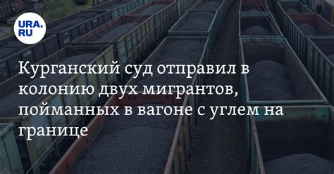 Мигранты в Кургане: приговор за незаконное пересечение границы в вагоне ...
