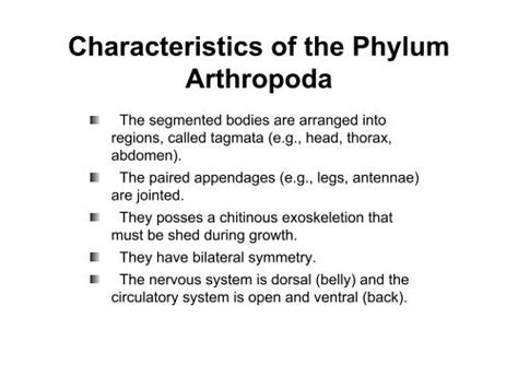 Characteristics of the Phylum Arthropoda