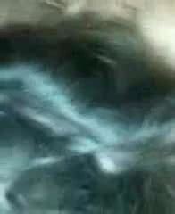 Hardcore Ficken Xhamster