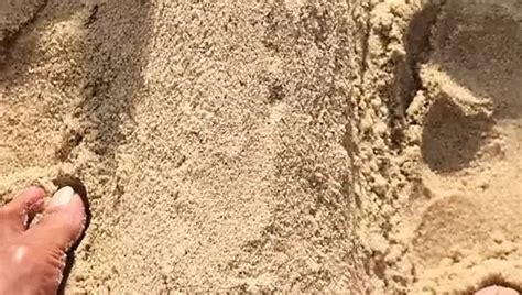 Free Big Dick Beach Gay Porn Videos 2 XHamster