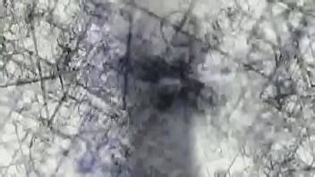 Steins Gate Opening XVIDEOS