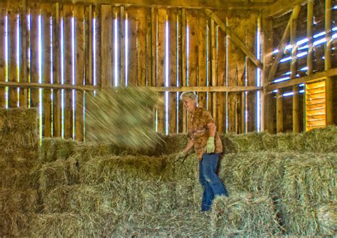 In The Hay Mow People And Portrait Photos Walnut Hill