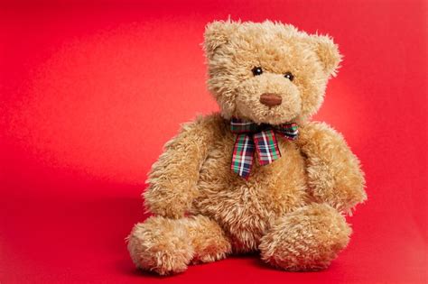 Homemade Sex Toys For Men Diy Has Never Been So S Pantydeal