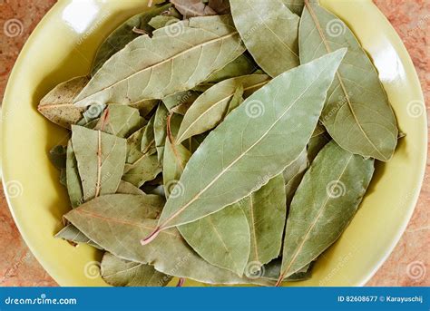 Dry Laurel Leaves Stock Image Image Of Green Healthy 82608677