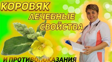 💊 Коровяк.Целебные свойства. - YouTube