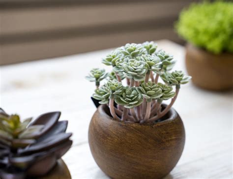 Купить Искусственное растение модель 4, 12 см, Hogewoning по выгодной ...