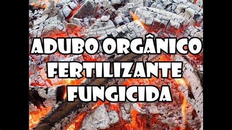 Adubo Natural E Fungicida De Cinzas YouTube