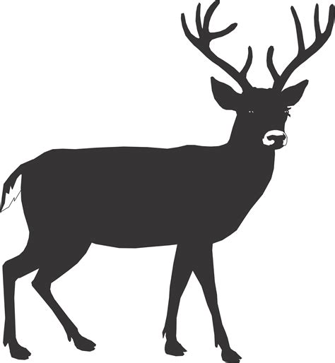 Deer Outline Clipart Best