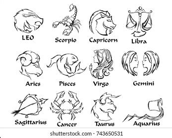 Sketch Zodiac Images, Stock Photos & Vectors | Shutterstock