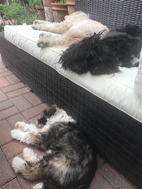 hypnotherapy marlow | Clare Cogan