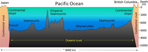 18.1 The Topography of the Sea Floor – Physical Geology