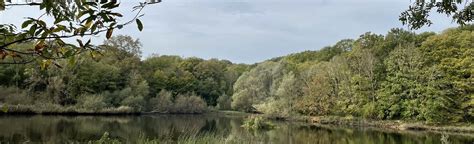 Tour de la Forêt de Meudon depuis la Gare de Chaville 41 Photos