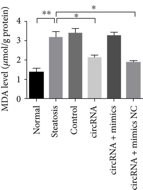 CircRNA 0046367 Dependent Attenuation Of Hepatocellular Steatosis