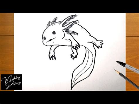 How To Draw An Axolotl Easy