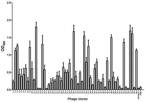 Identification Of A Peptide Specifically Targeting Ovarian Cancer By