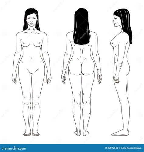 Naked Standing Woman Stock Vector Illustration Of Body