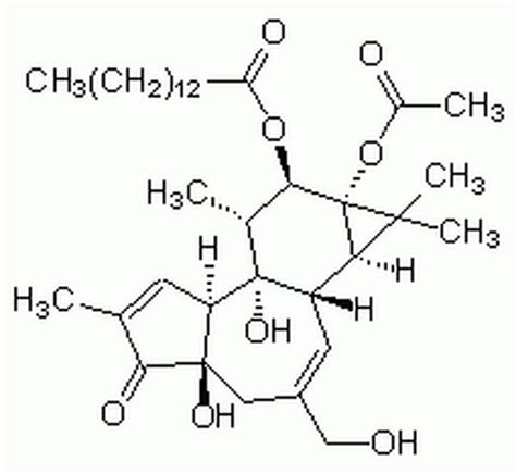 Phorbol Myristate Acetate Cas Calbiochem